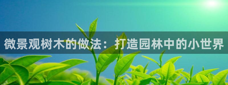 卧龙娱乐是哪个系列