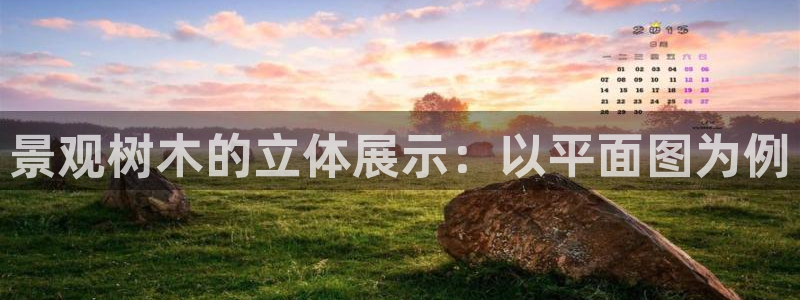 卧龙休闲娱乐热门推荐：景观树木的立体展示：以平面图为例