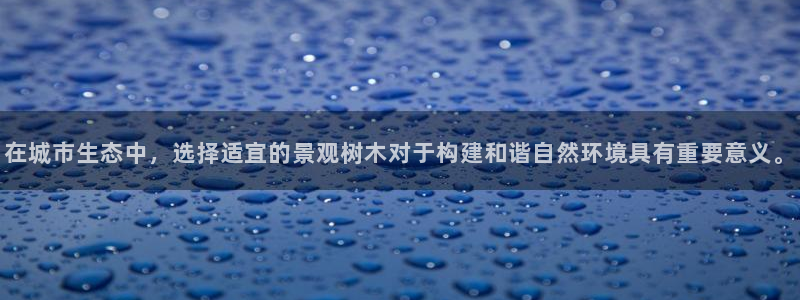 hr娱乐 卧龙招商60447