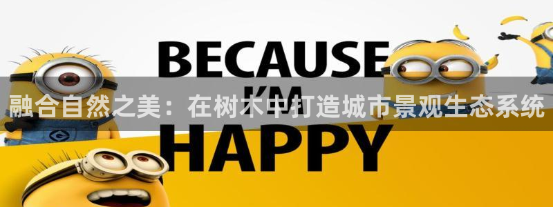 卧龙娱乐在线直播