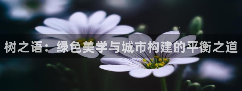 柏林娱乐- 0 卧龙：树之语：绿色美学与城市构建的平衡之道