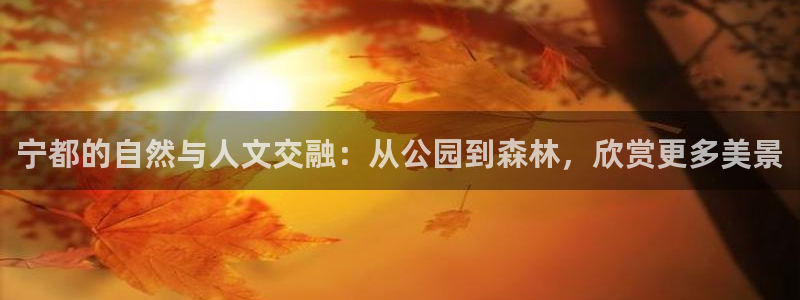 卧龙娱乐登录网址：宁都的自然与人文交融：从公园到森林，欣赏更多美景