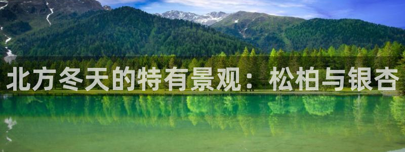 娱乐聚焦卧龙凤雏