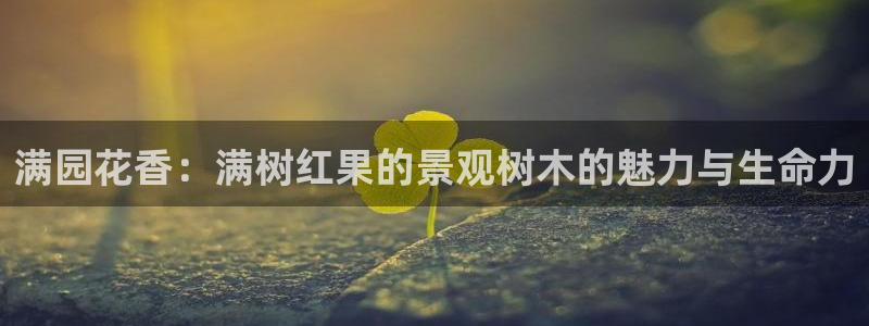 悉尼卧龙岗娱乐