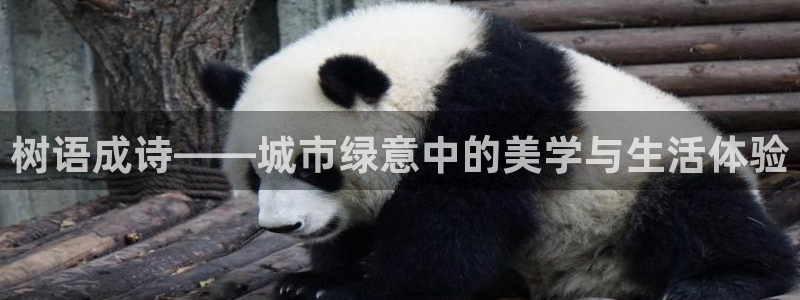 卧龙哥休闲娱乐
