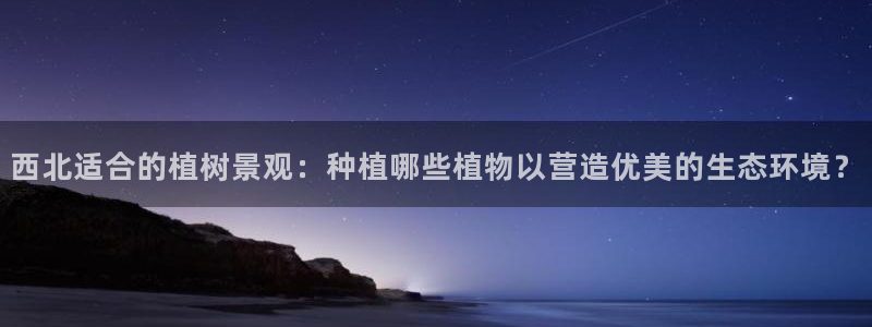 卧龙娱乐招商主管薪资