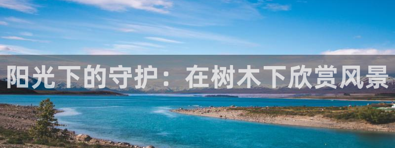 卧龙娱乐挂机平台有哪些：阳光下的守护：在树木下欣赏风景
