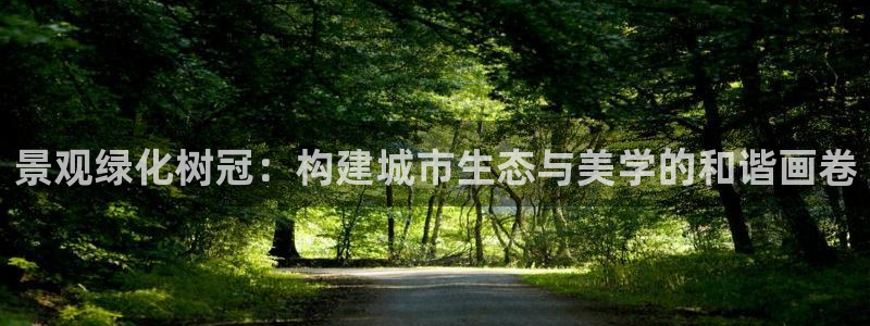 卧龙镇休闲娱乐