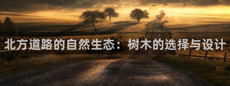 卧龙游乐娱乐设备