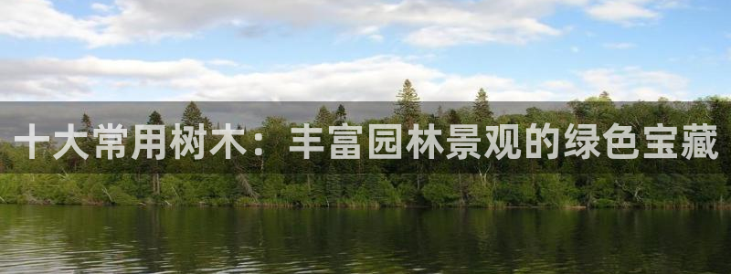 卧龙娱乐气垫项目投资