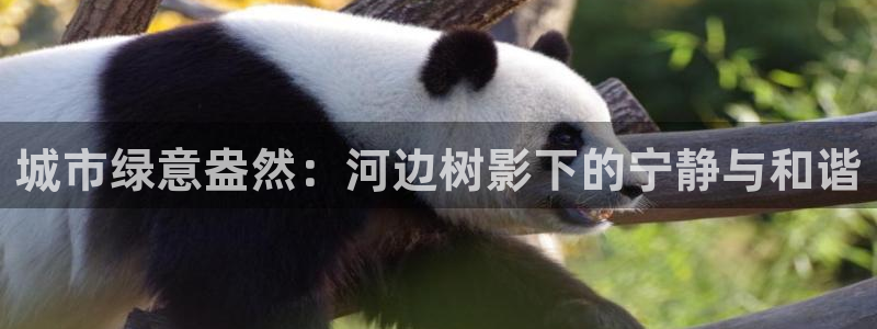 ta娱乐 卧龙主管60447：城市绿意盎然：河边树影下的宁静与和谐