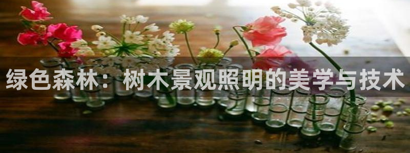 卧龙娱乐官网下载