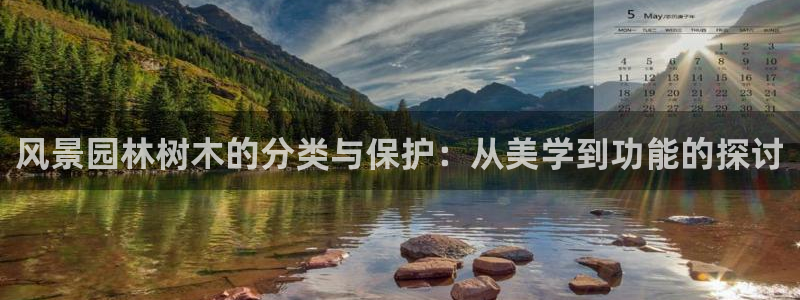 娱乐卧龙凤雏