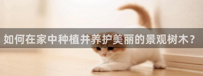 卧龙娱乐平台下载