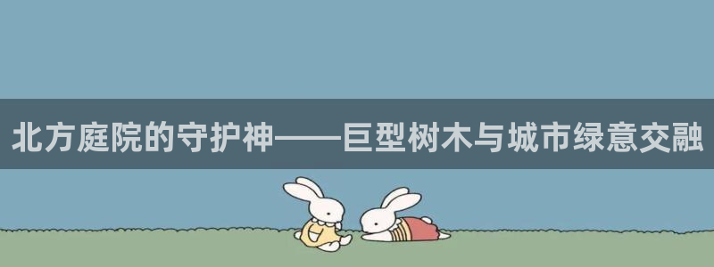 卧龙休闲娱乐热门推荐