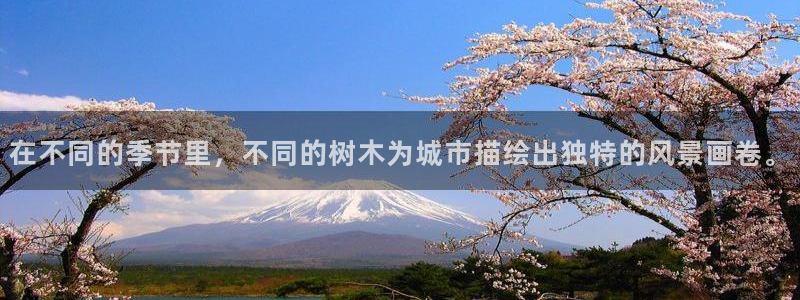 卧龙娱乐彩票官网