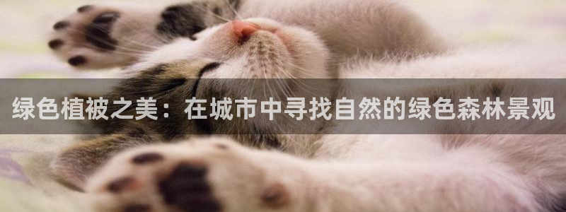 卧龙凤雏娱乐号