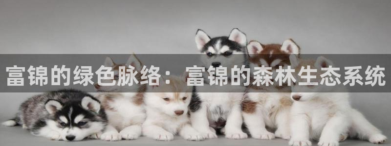 凤凰娱乐ktv卧龙路