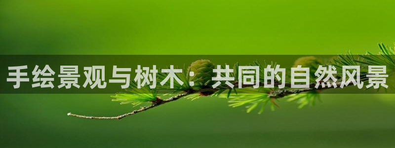 卧龙凤雏直播娱乐