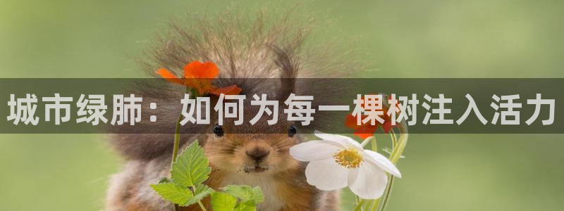 卧龙镇休闲娱乐：城市绿肺：如何为每一棵树注入活力