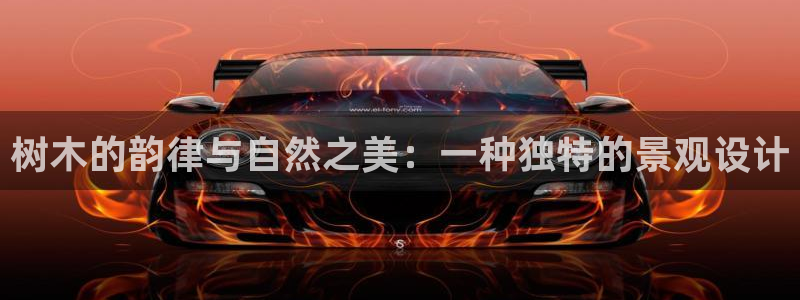 卧龙娱乐app彩票计划