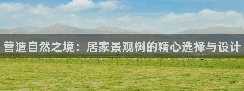 卧龙娱乐招商代理电话