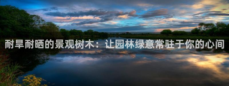 卧龙娱乐老板是谁啊