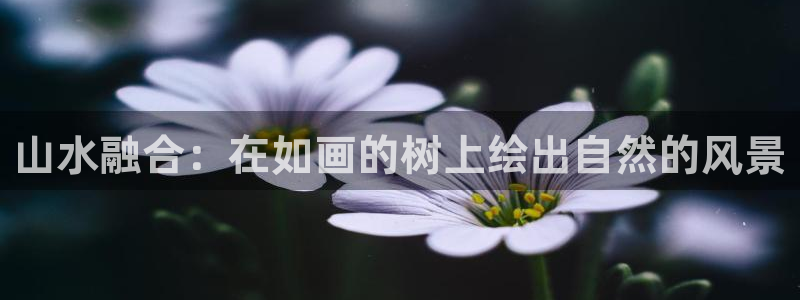 南阳卧龙娱乐会所评价