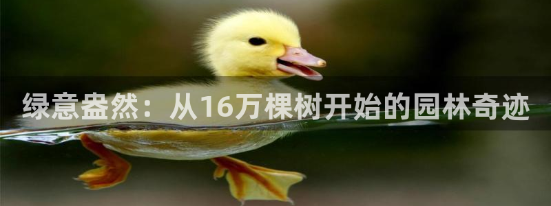 卧龙娱乐是什么意思