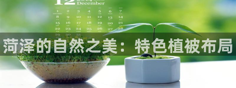 肥羊娱乐卧龙凤雏