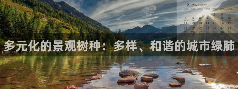 卧龙凤雏娱乐版