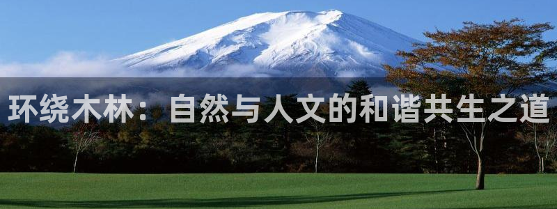 卧龙2神机娱乐代理