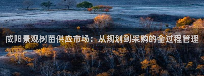 凤凰娱乐ktv卧龙路