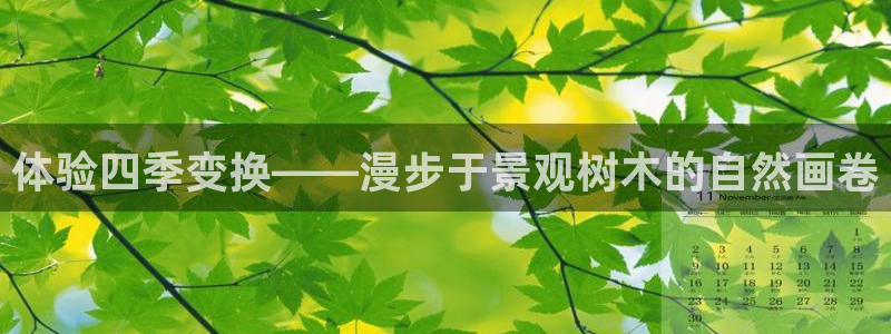 凤岗卧龙台球娱乐会所