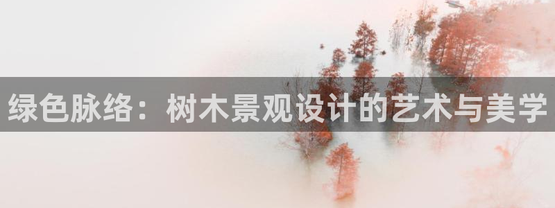 卧龙娱乐在线直播平台