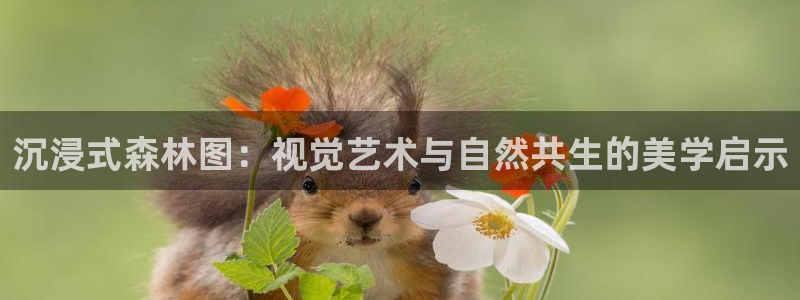 卧龙休闲娱乐热门推荐