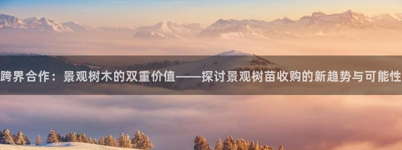 创亿娱乐d卧龙313322