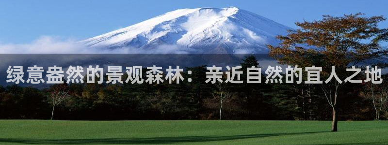 卧龙娱乐有限公司