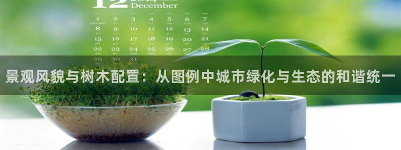 娱乐圈卧龙凤雏