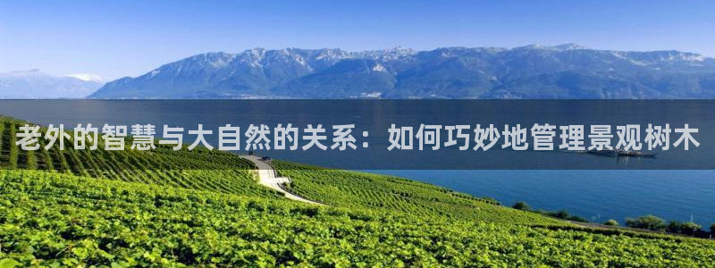 肥羊娱乐卧龙凤雏