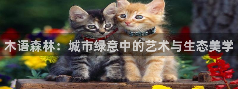 卧龙沙滩蹦床娱乐