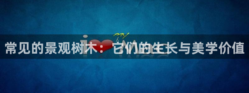 卧龙娱乐招商主管工资