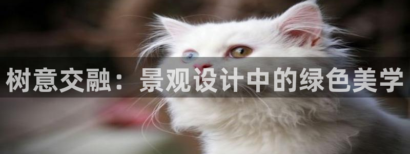 PT娱乐卧龙招商60447