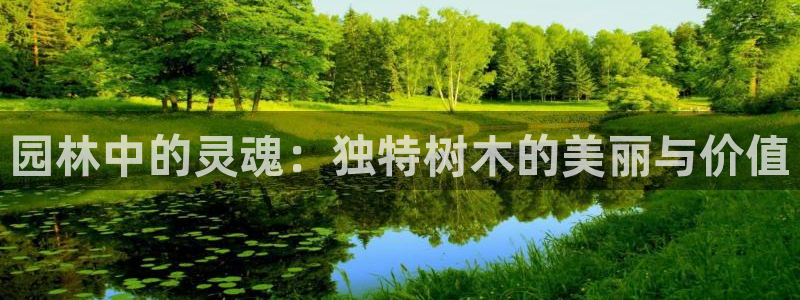 卧龙娱乐可靠吗