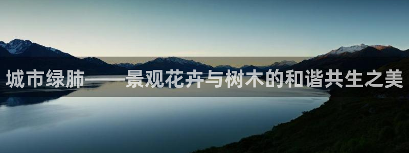 卧龙凤雏娱乐资讯