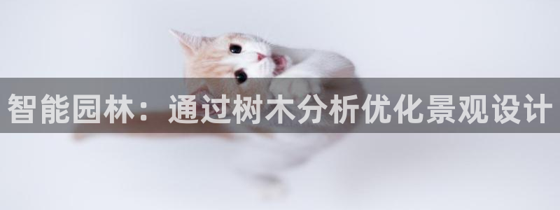 柏林娱乐 柏林卧龙 0