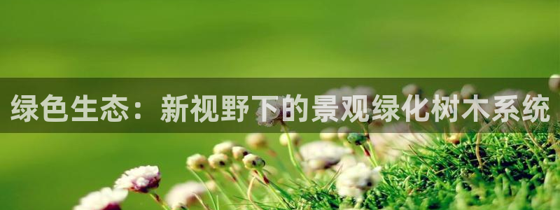 卧龙湾娱乐购票