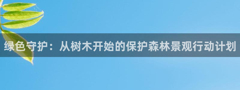 卧龙2神机娱乐代理