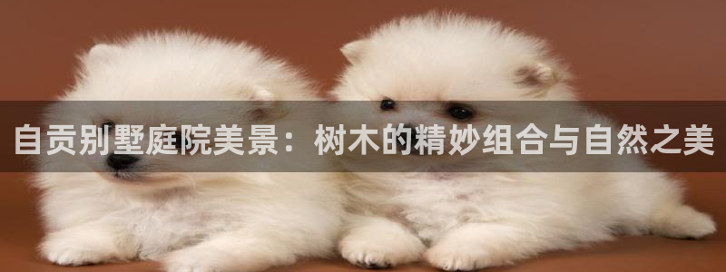 卧龙峡水上娱乐