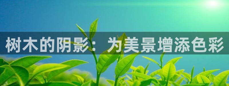 卧龙娱乐彩票兑奖中心